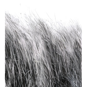 Hay | Charcoal drawing by Sue Gregor
