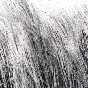 Hay | giclee print of charcoal drawing by Sue Gregor